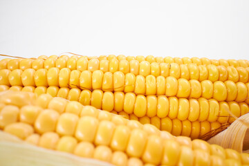 fresh corn on the white