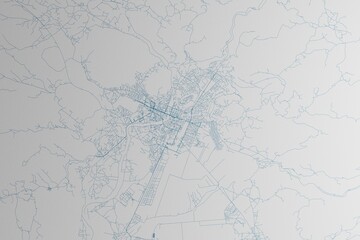 Map of the streets of Podgorica (Montenegro) made with blue lines on white paper. 3d render, illustration