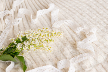 branches of blooming white bird cherry on a knitted, delicate pastel background. Lace decor.	
