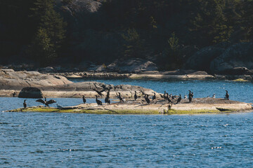 Archipelago National Park landscape, Southwest Finland, with islands, islets and skerries, Saaristomeren kansallispuisto, summer sunny day, view from shuttle ship ferry boat in the Archipelago Sea