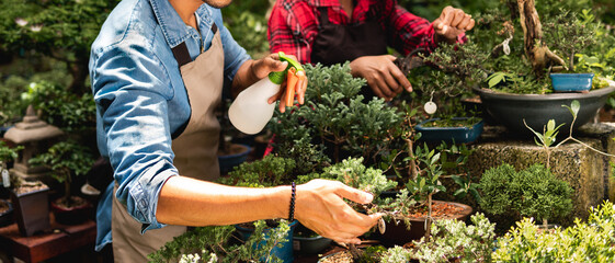 detail of botanist spray water in plant in the garden