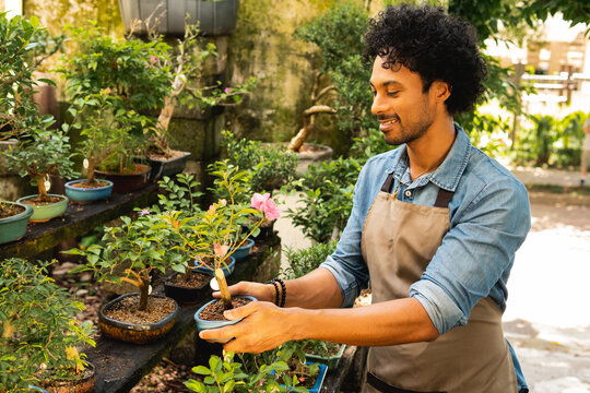 happy man selecting bonsai plant in the garden - Powered by Adobe