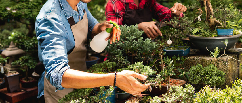 detail of botanist spray water in plant in the garden - Powered by Adobe