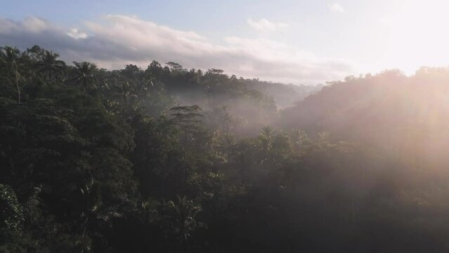 Jungles with rice terraces in mist in the morning with beautiful sunrise in Tegalalang area in Bali. Aerial view, drone shot, moving backward, lens flare