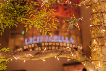 川崎・ラチッタデッラのイルミネーション【神奈川県・川崎市】　
Illuminations in the streets of Japan