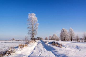 Zimowe wędrówki Doliną Narwi, Podlasie, Polska
