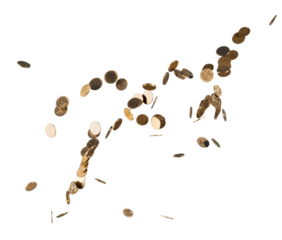 Collection of different falling Gold Coins