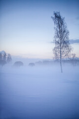 Winter wonderland in Finland - 555394335