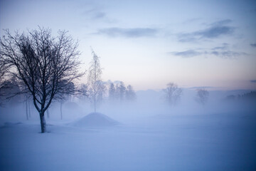 Winter wonderland in Finland - 555394371