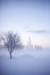 Winter wonderland in Finland - 555394375