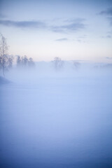 Winter wonderland in Finland - 555394391