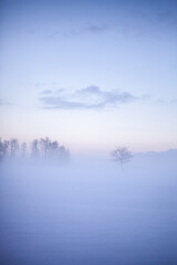 Winter wonderland in Finland - 555394399
