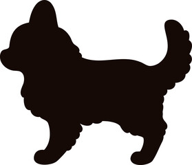Simple and cute silhouette of long haired Chihuahua in side view