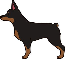 Simple and cute illustration of Doberman Pinscher in side view