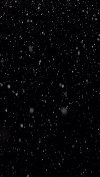 Looping animated Christmas background of falling snow isolated on black background in vertical format composition.  Original 4K version in ProRes 4444 codec with direct transparency alpha channel.