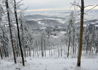 Biała, śnieżna zima na górskim szlaku w Beskidzie Śląskim