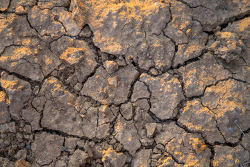 Due to the high sun exposure, the reservoir dried up and the soil cracked , this mud is looks like fertile.