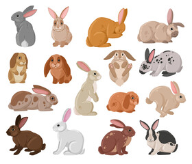 Cartoon cute rabbits. Wildlife funny bunny, spring eared hare animals, white and brown fur domestic bunnies flat vector illustration set. Spring holiday rabbits collection