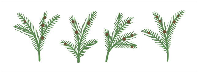 Set of Christmas tree or pine spruce or fir green branches with cones for holiday decoration