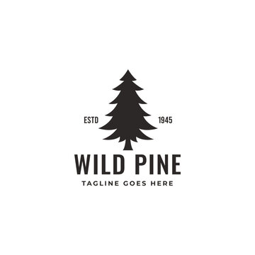 pine tree vintage logo vector template