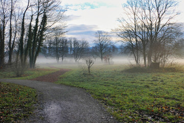 Eine Naturlandschaft am frühen Morgen mit Nebel über dem Boden