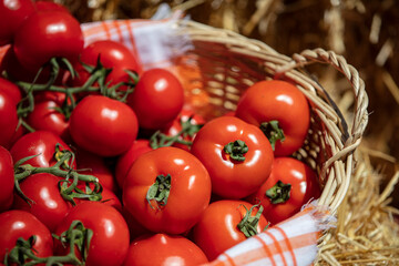 There is a basket full of freshly picked organic red tomatoes on the grass. Realistic, fresh produce is sold at the local farmers market