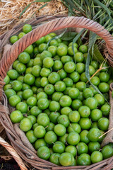 Green plum background, summer fruit green plum sold in open air market, top view photo