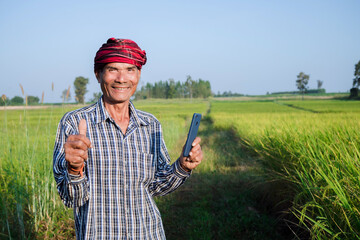Asian man farmer with hand holding smart phone standing in rice farm, cash subsidy concept