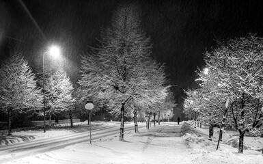 Nightime road in winter