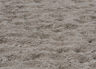 Dirt Track with Hoof Prints