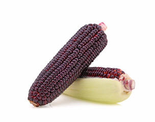 Fresh purple corn isolated on white background