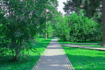 Path in the park paved with stone blocks, green summer park with deciduous and coniferous trees