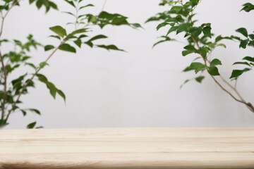 Naklejka na ściany i meble empty wooden tabletop with tree branch fresh green leaf white space background.organic healthy natural product present scene promotion show display,spring banner concept design.