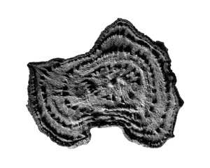 Fresh and Dried slices of Beetroot