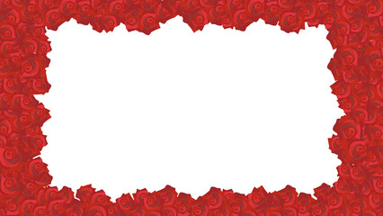 Red rose background for  put the word or picture on White transparent background 