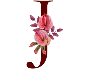 Burgundy Red Alphabet Letter J With Hand Drawn Autumnal Boho Floral Composition. Watercolour Dahlia Flower Isolated on White Background. Fall Floral Clipart Perfect For Greetings, Invitations Designs