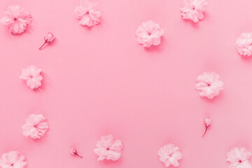 Fototapeta na wymiar Cherry blossom flowers in color of the year 2023 Viva Magenta