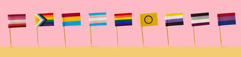 different LGBTIQA flags in a banner format
