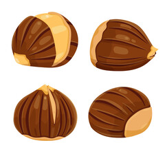 Chestnut vector icon.Cartoon vector icon isolated on white background chestnut.