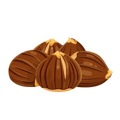 Chestnut vector icon.Cartoon vector icon isolated on white background chestnut.