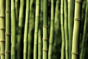 Obraz premium Illustration of bamboo forest, generative ai