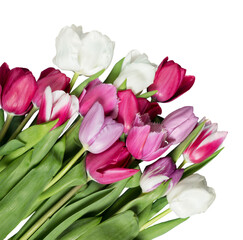 A beautiful fresh bouquet of colored tulips