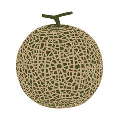 Cantaloupe melon, fruit vector illustration 10