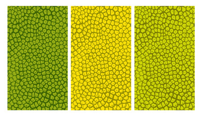 Jackfruit texture for pattern, vector art