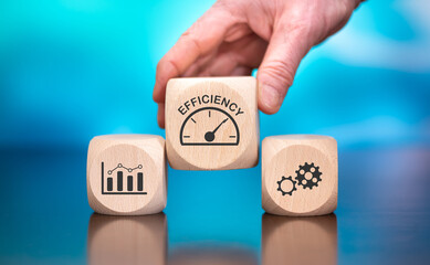 Concept of efficiency