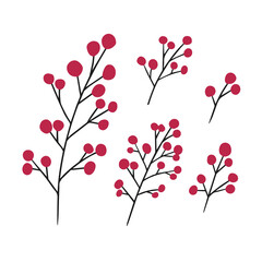 Hand drawn vector winter floral elements. Winter branches and leaves. Hand drawn floral elements. Magenta color