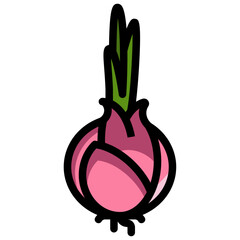 Onion