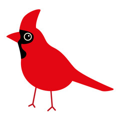 Cardinal bird vector illustration icon