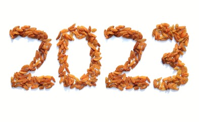 2023 Written with Raisin on White Background, Happy New Year 2023 Conceptual Photo