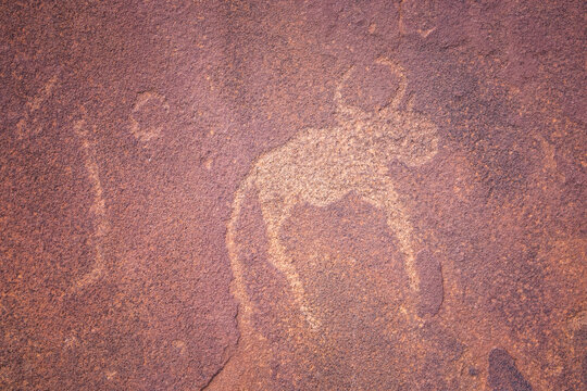 African rock art engravings of animals